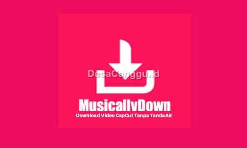 Cara-Download-Video-Menggunakan-Musicallydown.com-TikTok-Tanpa-Watermark