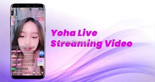 Mengenal-Yoha-Live-APK-Versi-Baru-dan-Modifikasi