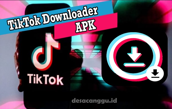 Tiktok-Downloader-APK
