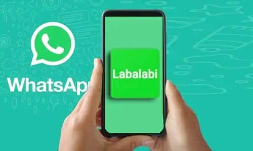 Download-Labalabi-for-WhatsApp-APK-MOD-2022-Versi-Terbaru-dan-Lama
