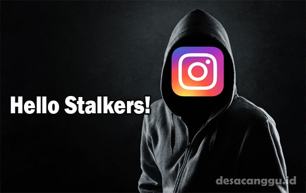 Fitur-Online-Checker-IG-Situs-Cek-Stalker-Instagram-Yang-Lagi-Viral