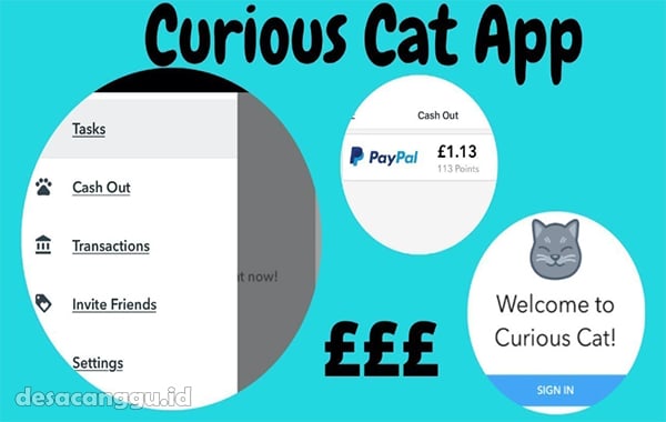 Curious-Cat-App