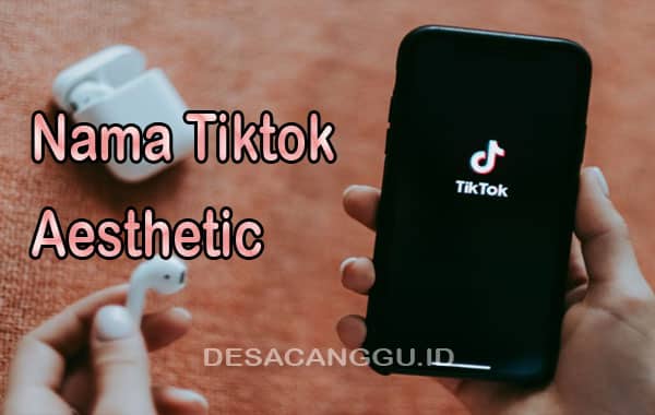 Nama-Tiktok-Aesthetic