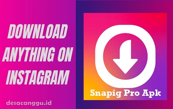 Link-Download-Snapig-Pro-Apk-Latest-Version-2023